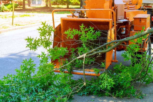 Best Grass Overseeding  in Peekskill, NY